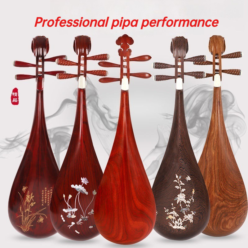 Musical Instrument Harmonium - Volwassenen Kinderen Professionele Pipa Handgemaakte Palissander