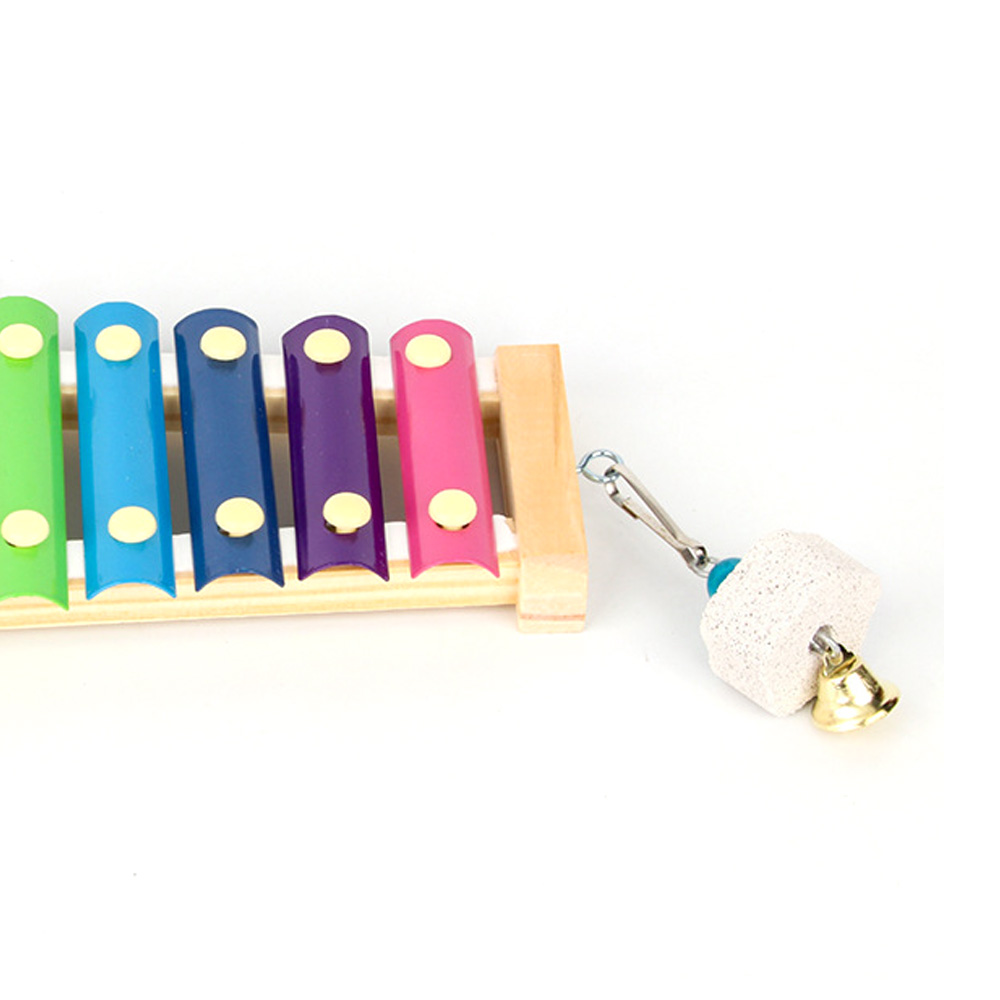 Vogel Kip Xylofoon Speelgoed H - Musical Instrument Harmonium recensie en prijs